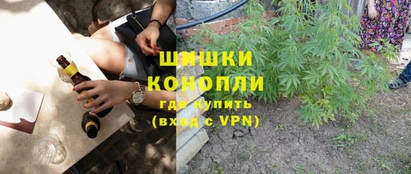 apvp Алзамай