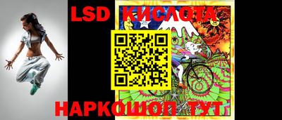 винт Сланцы