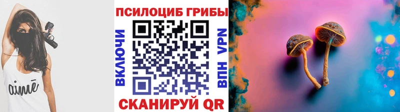 Галлюциногенные грибы мицелий  купить   Тара 