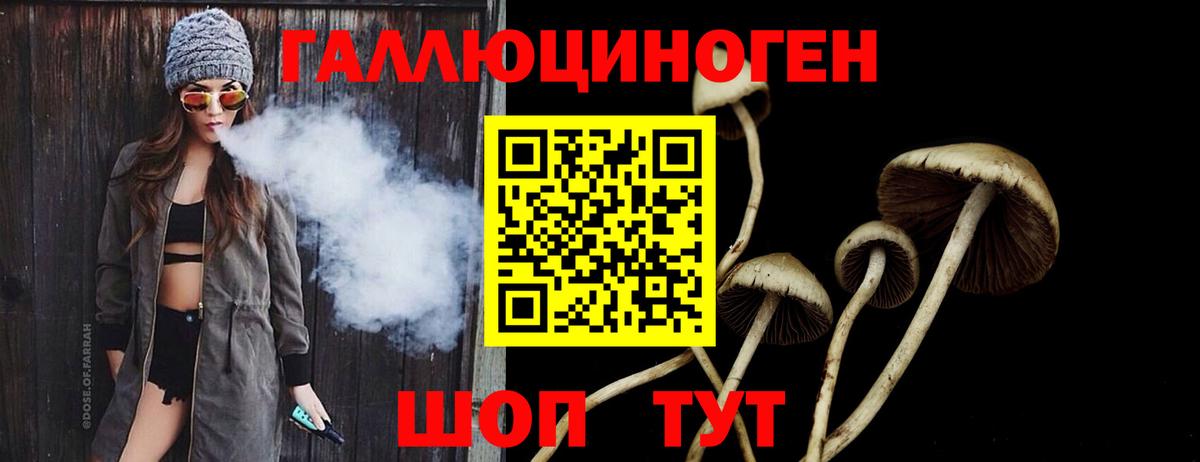 дарнет шоп  Галлюциногенные грибы GOLDEN TEACHER  Вход с VPN  Тара 