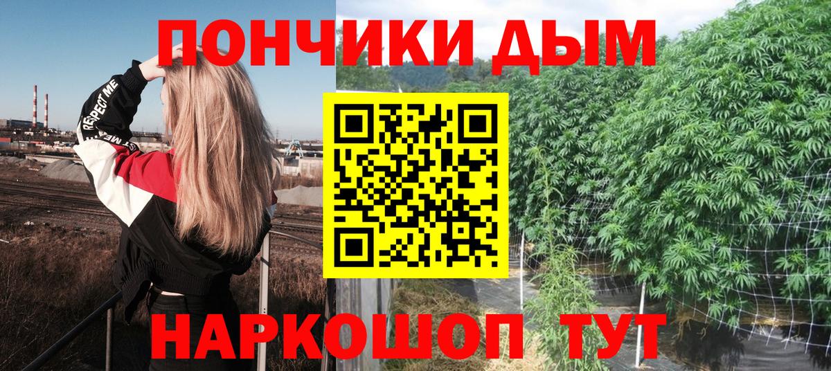 МЕФ Тара
